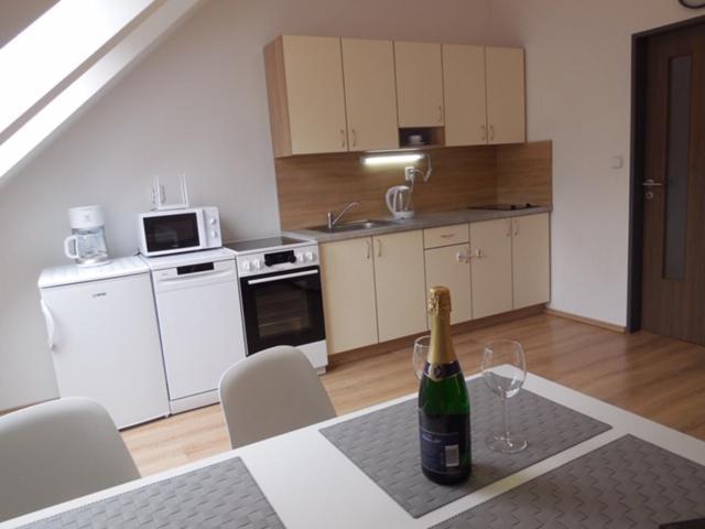 Apartman Kamenice Kamenice nad Lipou Dış mekan fotoğraf