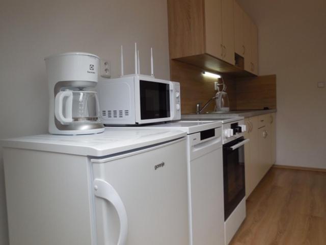 Apartman Kamenice Kamenice nad Lipou Dış mekan fotoğraf